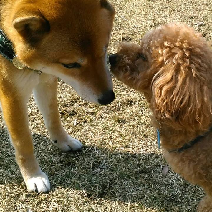 88d8a05d 1a2d 435e 91a6 92453701c0b0