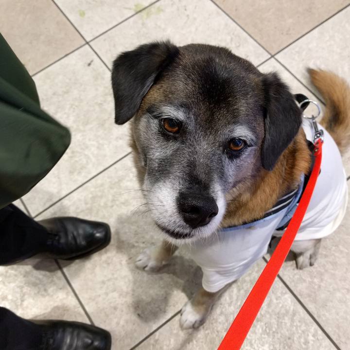 88d8a0c8 e3e5 49dd 83b9 47afd3e6537e