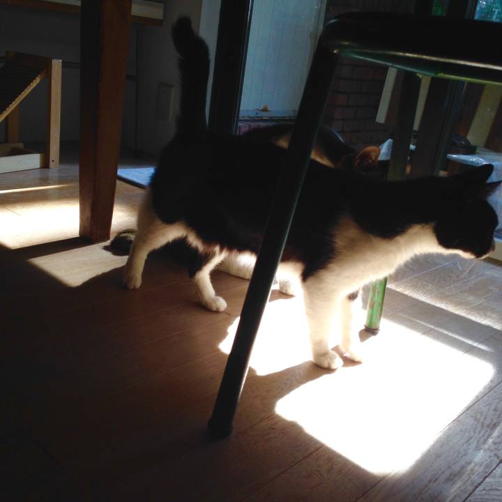 88d9e66d 40a5 47be 9765 d22737405fd7