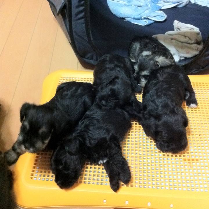 88da0acb dd51 425b 817d 97b70acac9ef