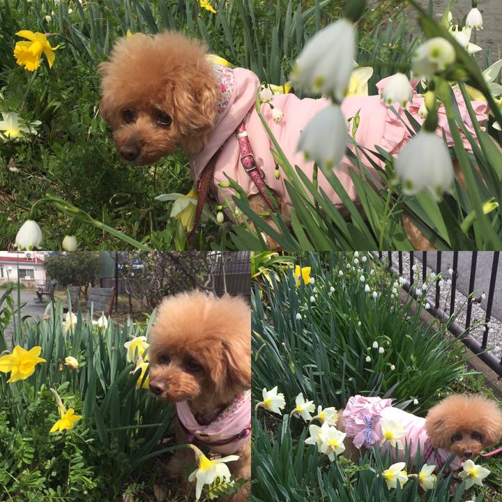 88da8ec7 ce09 41de 9ad0 efe956ecb2a8