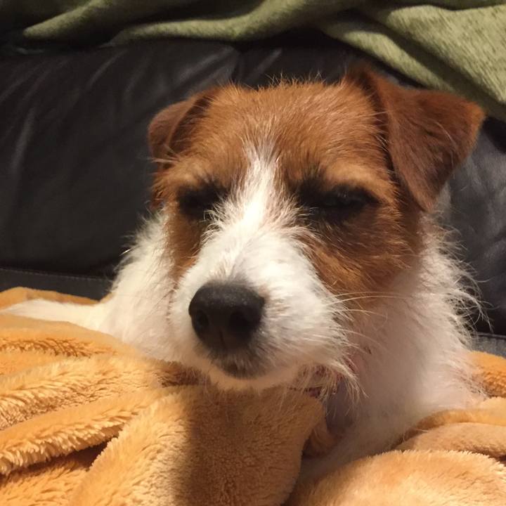 88da91c6 bb17 44b3 b772 d2a74e671ace