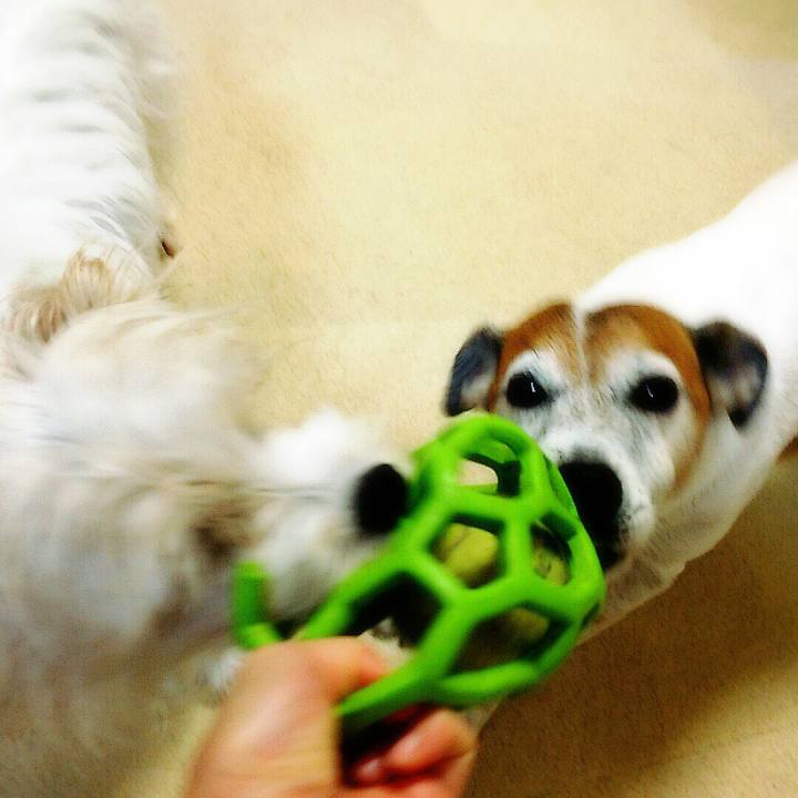 88db215e 975d 4d58 9c0f 1a8e864ca48d