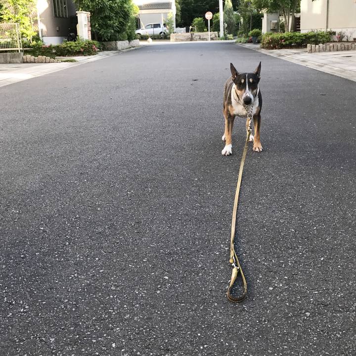 88db85a1 05c9 4fbd 834f 219e49ef7a5e