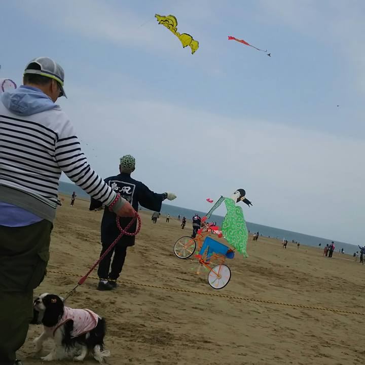 88dbd18b 598f 4420 b725 0d2c4872ee10