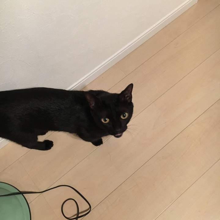 88dc2091 849c 4401 b186 f7d39f5ef46e