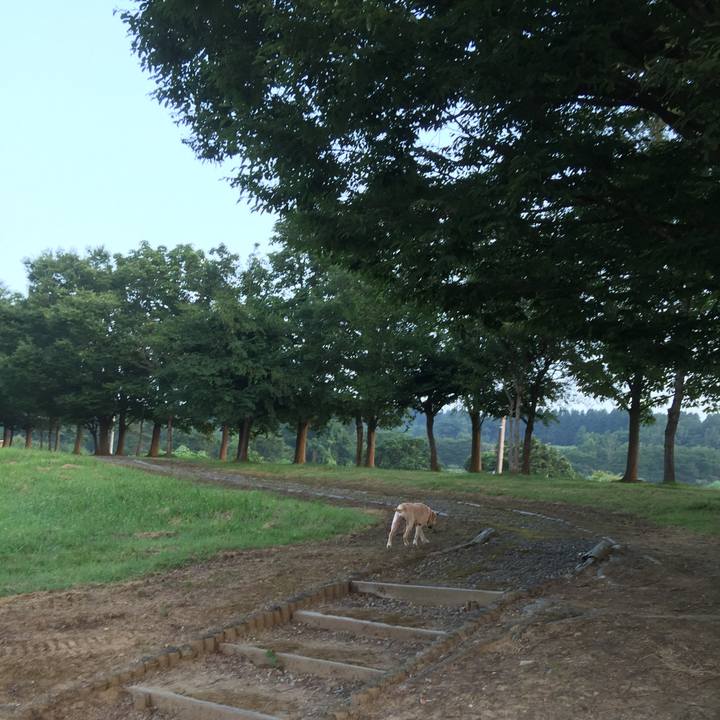 88dc5b5c 755e 4f92 87bb 8d31d79037e8