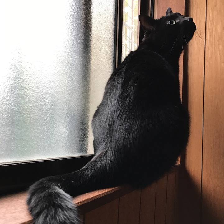 88dcc798 fcd8 40e1 811b e6be1fb330d0