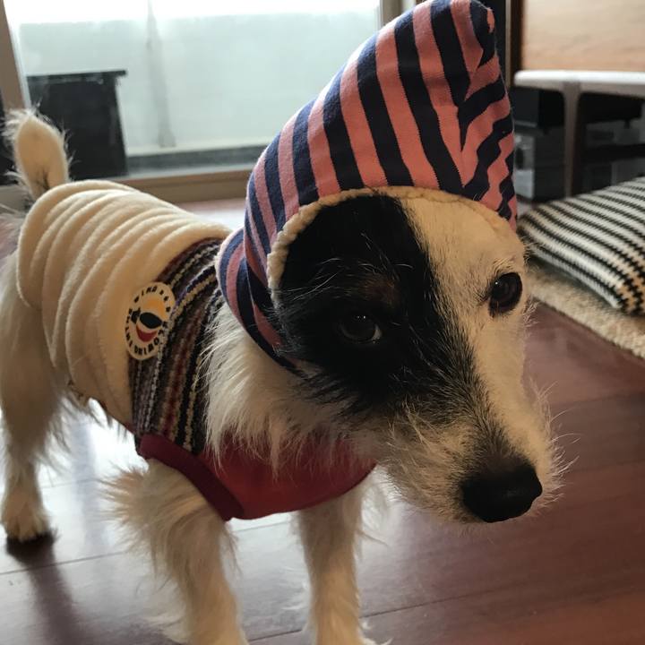 88ddba17 75c6 4d15 bf18 7a7644006f83