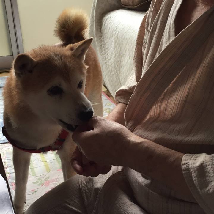 88dde16b ca36 4104 ad16 4ca487f54501