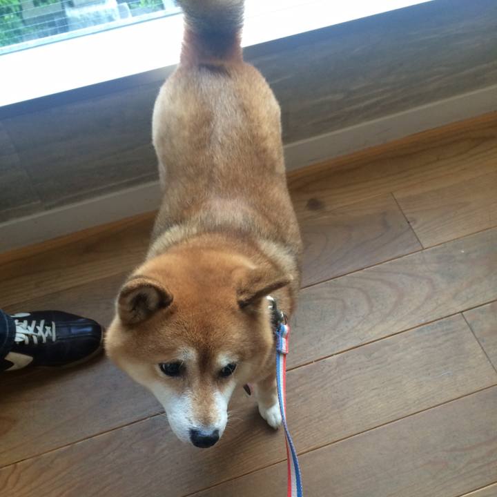 88de074f df33 4d37 9257 eabf3aca8719