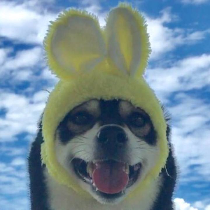 88de1212 4ea6 492f a297 52a4c4f58526