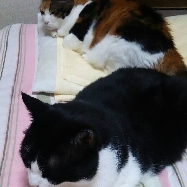 88de5c87 f226 4887 bc33 b00f63e76416