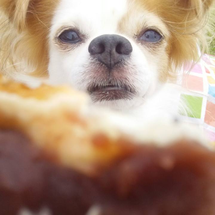 88de5d68 bdc3 4534 b3f5 ddbba25e0266