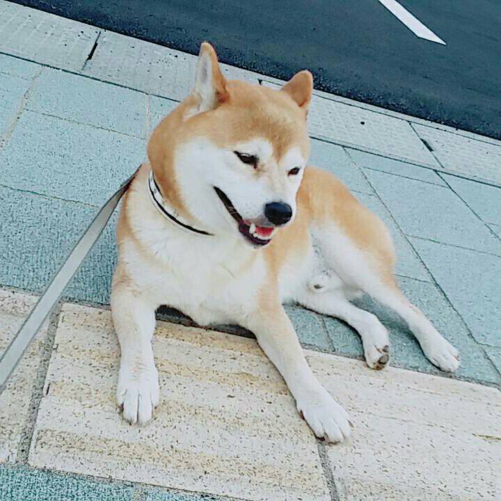 88de93ba 1a7a 49fb 9ec9 01e4f3812da7