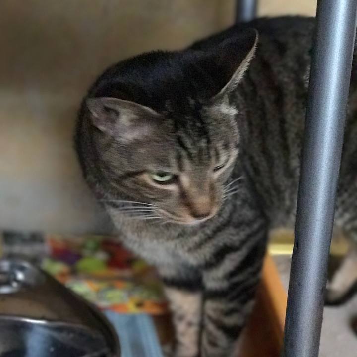 88deefac ea7d 475f 8644 b04df3080836