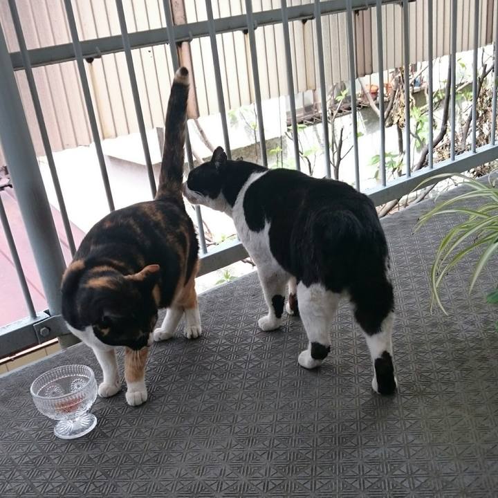 88df0b2c a168 43d7 a7f7 ebe8846834b1