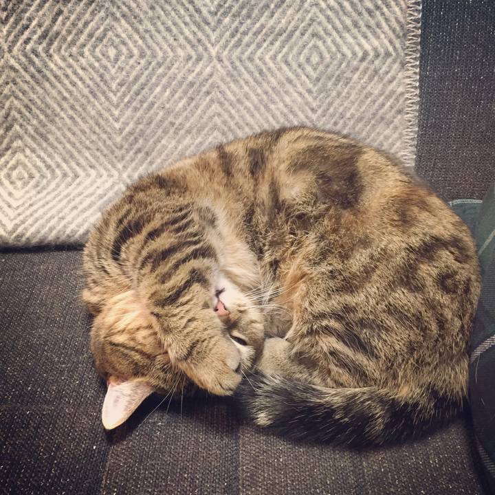 88dfa698 027d 4547 98aa 615d9a4d8369