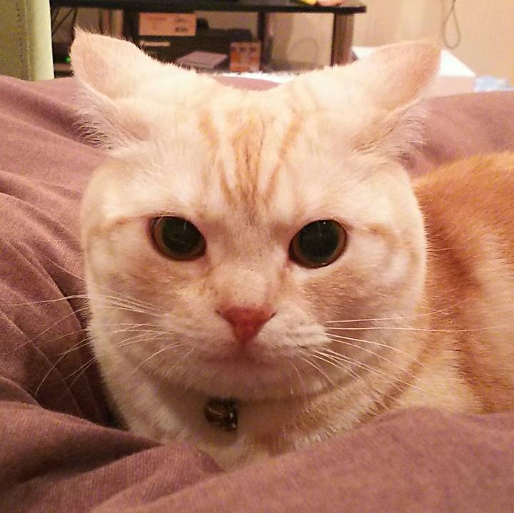 88e03eb4 5e02 4888 a84b a13cc09ab527