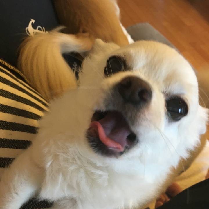 88e151d8 8c05 4231 adf6 ebda7a50a822