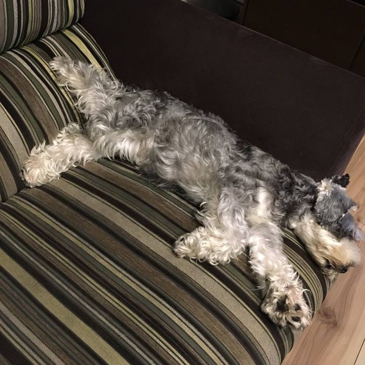 88e2d103 5f23 4df3 997b 1e799025e0c5