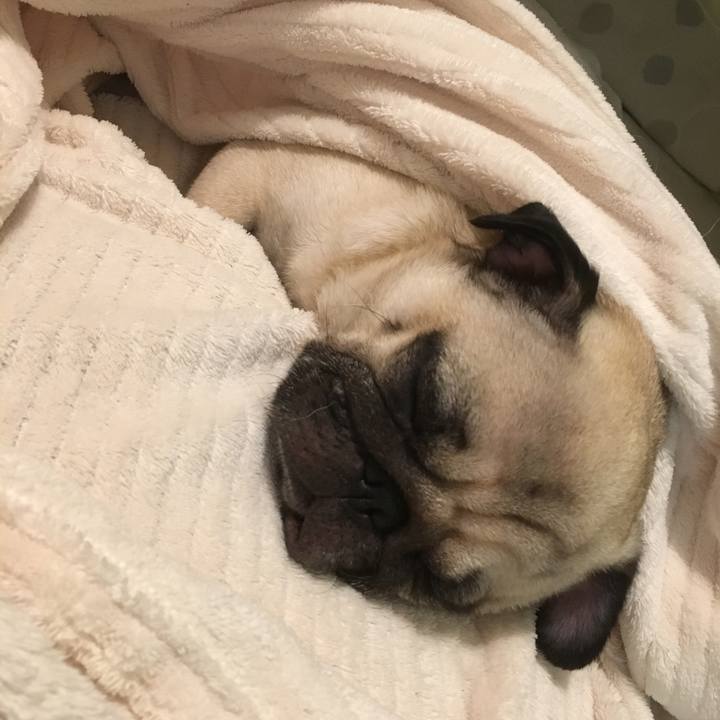 88e35ef8 00a3 430e 96be 31d7231227d8