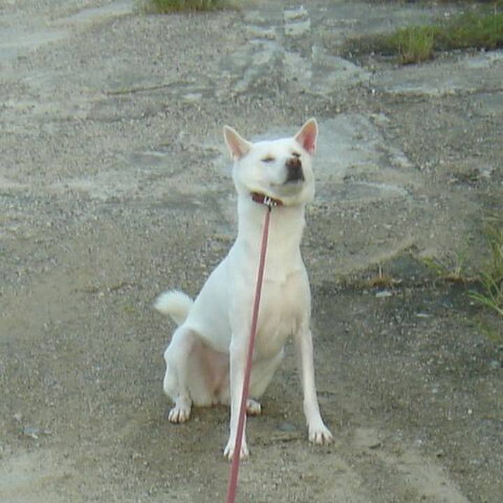 88e3f60c 7f79 4e51 b135 fc9cf6dc223b