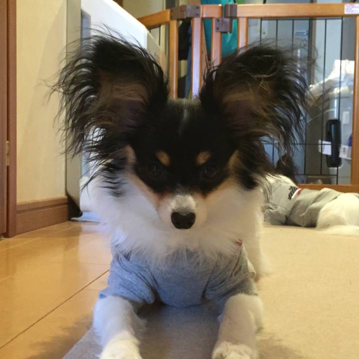 88e41ea9 d4a2 4602 917e 694b989fe57d