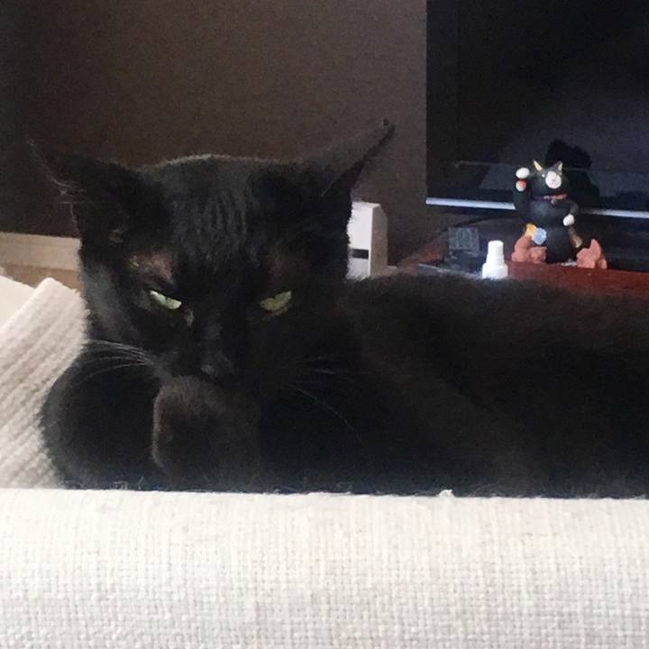 88e4447c 957e 46f5 99d2 024dee6d7773