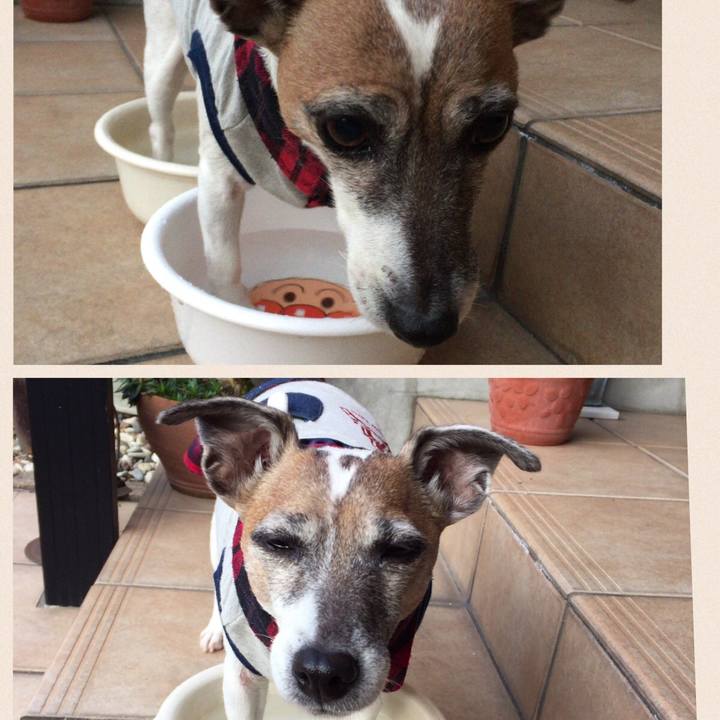 88e528ac cdf3 4cbb 8430 25bcf2a03241