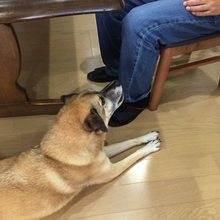 88e53305 64b5 4c80 8216 06a51e474a86