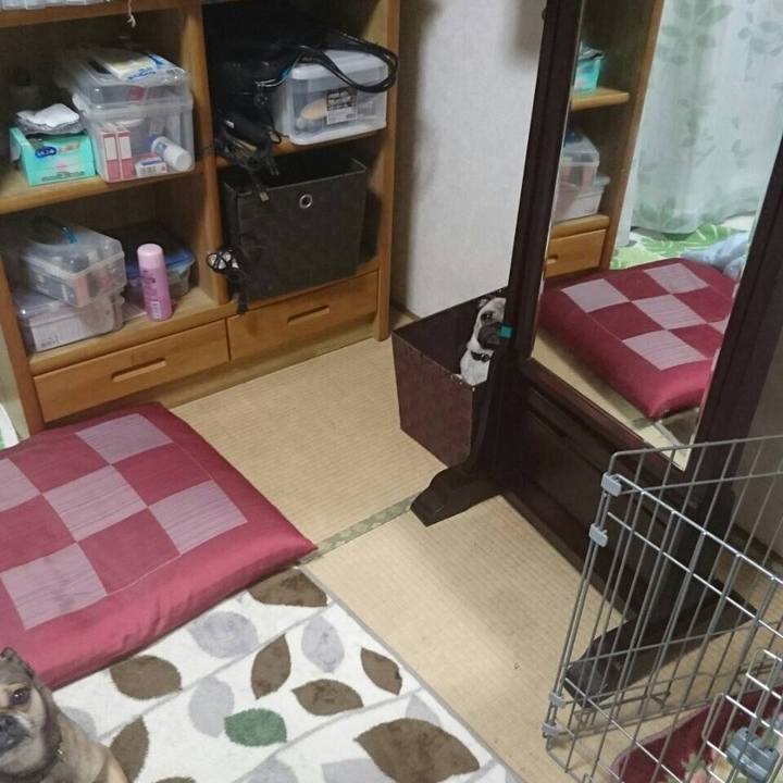 88e603f7 4335 4d1c 841c a2e8bf0dfbfc