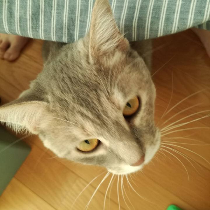 88e62d20 1d5f 457e b70c b9296587f163