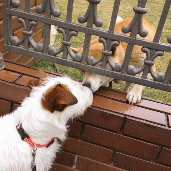 88e64e0d 83bc 4339 b5ff 4fdf3740a20a