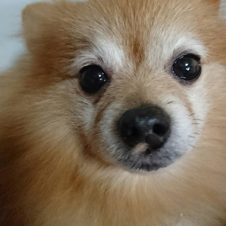 88e681f3 44b8 479b bbd9 1c41943534f5