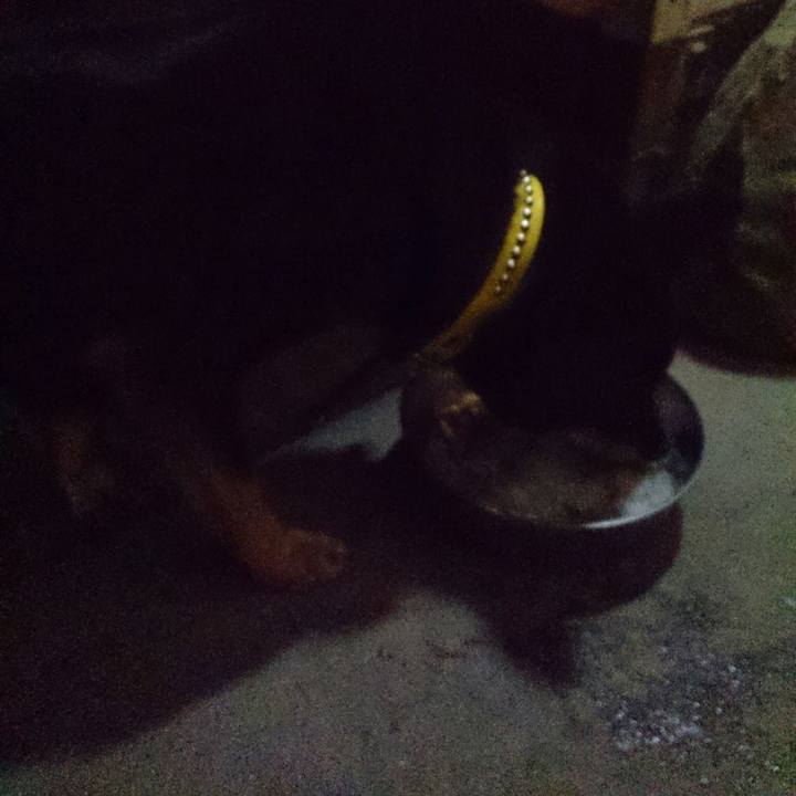 88e6d4c9 dc28 4597 b562 b623fe599b18