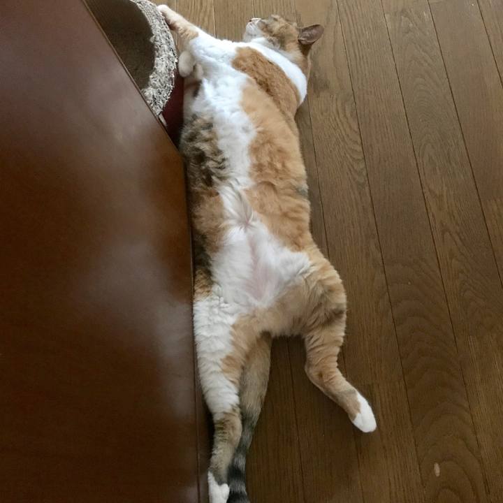 88e70386 6110 4a3e a4df bbe0702b9910