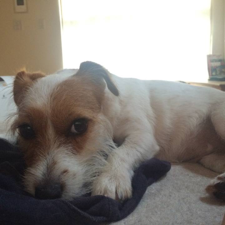 88e7a0f4 49d6 4ff5 9da2 079c19efd909