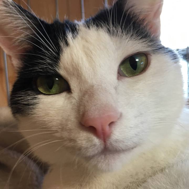 88e7b169 6e59 4b94 92cf 170870c2ab09