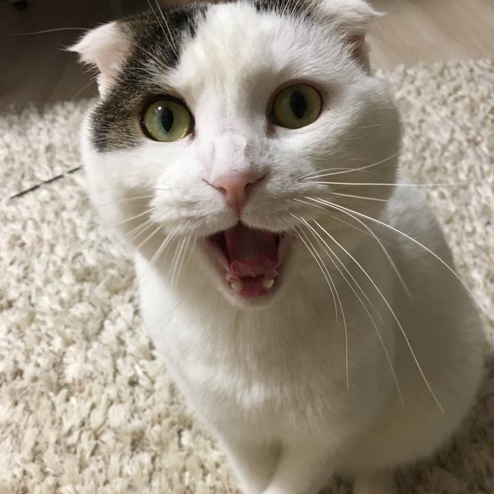 88e84f37 6362 40cc ace0 d9680133cf5d