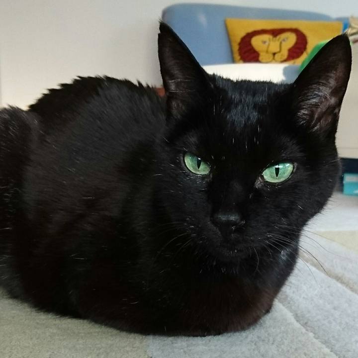 88e8e09c 5874 427c a762 dc8b0624876b