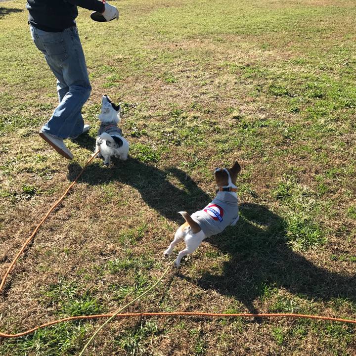 88e8fb8b 733a 4966 b591 e15c4be3b902