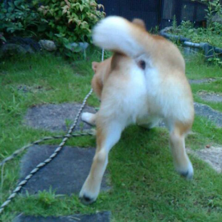 88e9336e f7ec 432a 8499 22f420bcdfa1