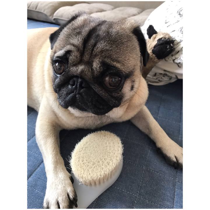 88e951d9 f90a 4ed8 bd2f 5313eac3197a