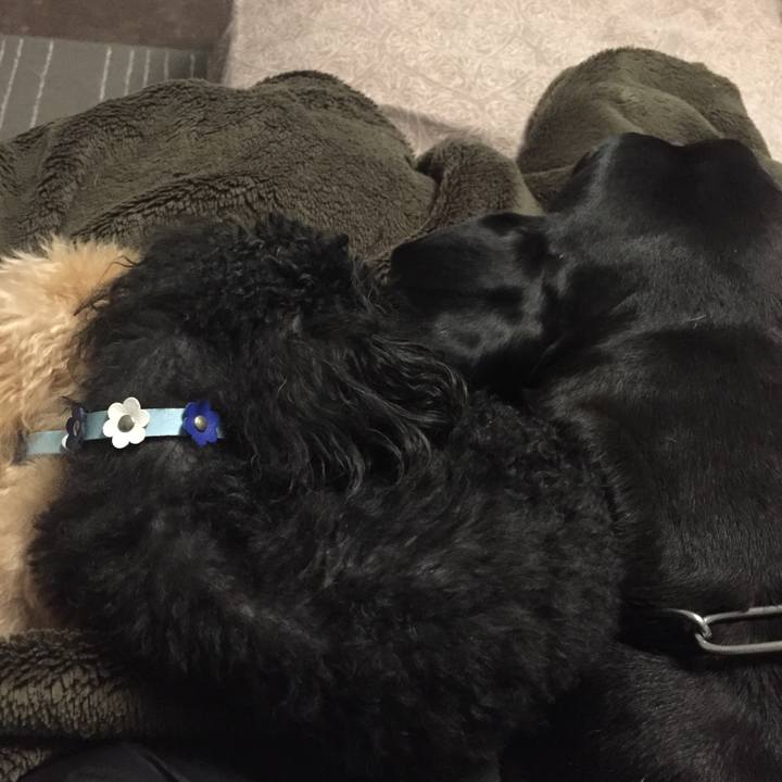 88e97c7c 8b98 487b b63e f21b46cf4878