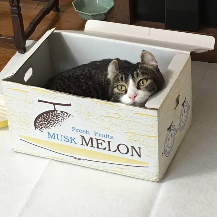 88e98f14 10a5 40d3 b083 705a7887f808