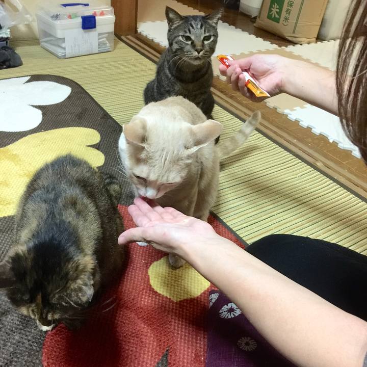 88e9e15a f29d 4e77 ad15 38a1fad78086