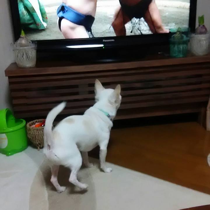 88e9f9f8 b1f4 4030 9169 7a703b1c0768