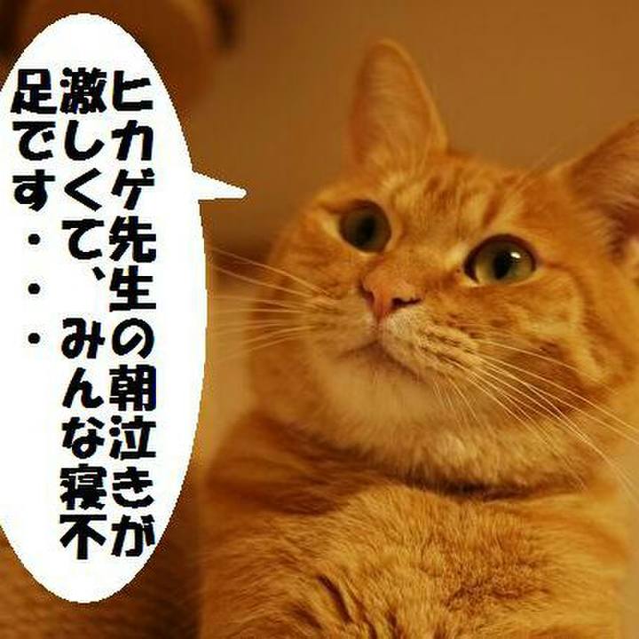 88ea25a2 ec04 41c6 9a1f 77196aeb7c7a