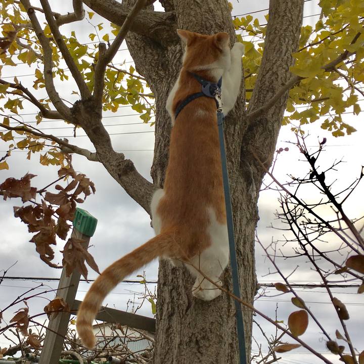 88ea7e53 9f27 48f4 89ec 30006bd19cc8